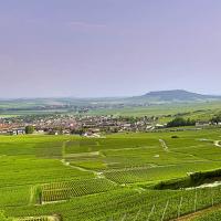 La Côte des Blancs