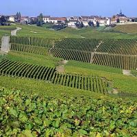 La Côte des Blancs