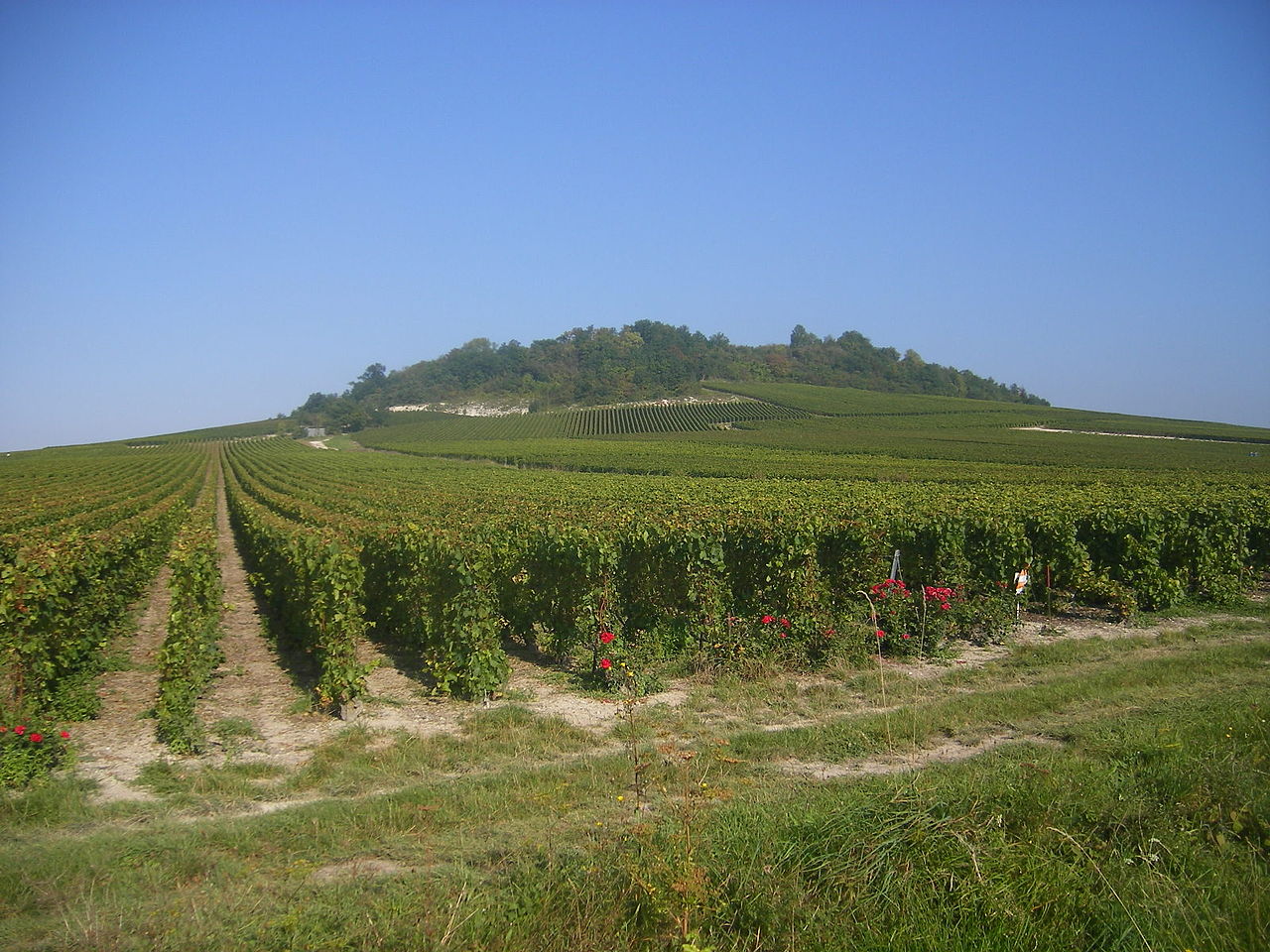 Le Mont Aimé